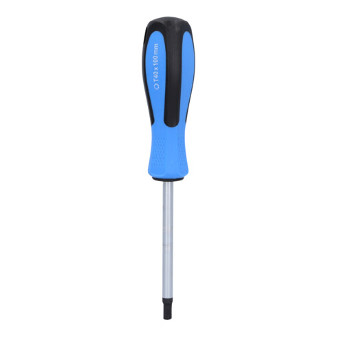 Brilliant Tools Schroevendraaier TX, T40 x 100 mm