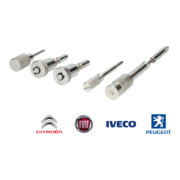 Brilliant Tools Serie di utensili di regolazione del motore per Fiat Ducato, Peugeot Boxer, Citroën Jumper 2.3 D JTD, 3.0 JTD, HDi