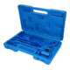 Brilliant Tools Set sierlatwiggen en kussens, 6-dlg.