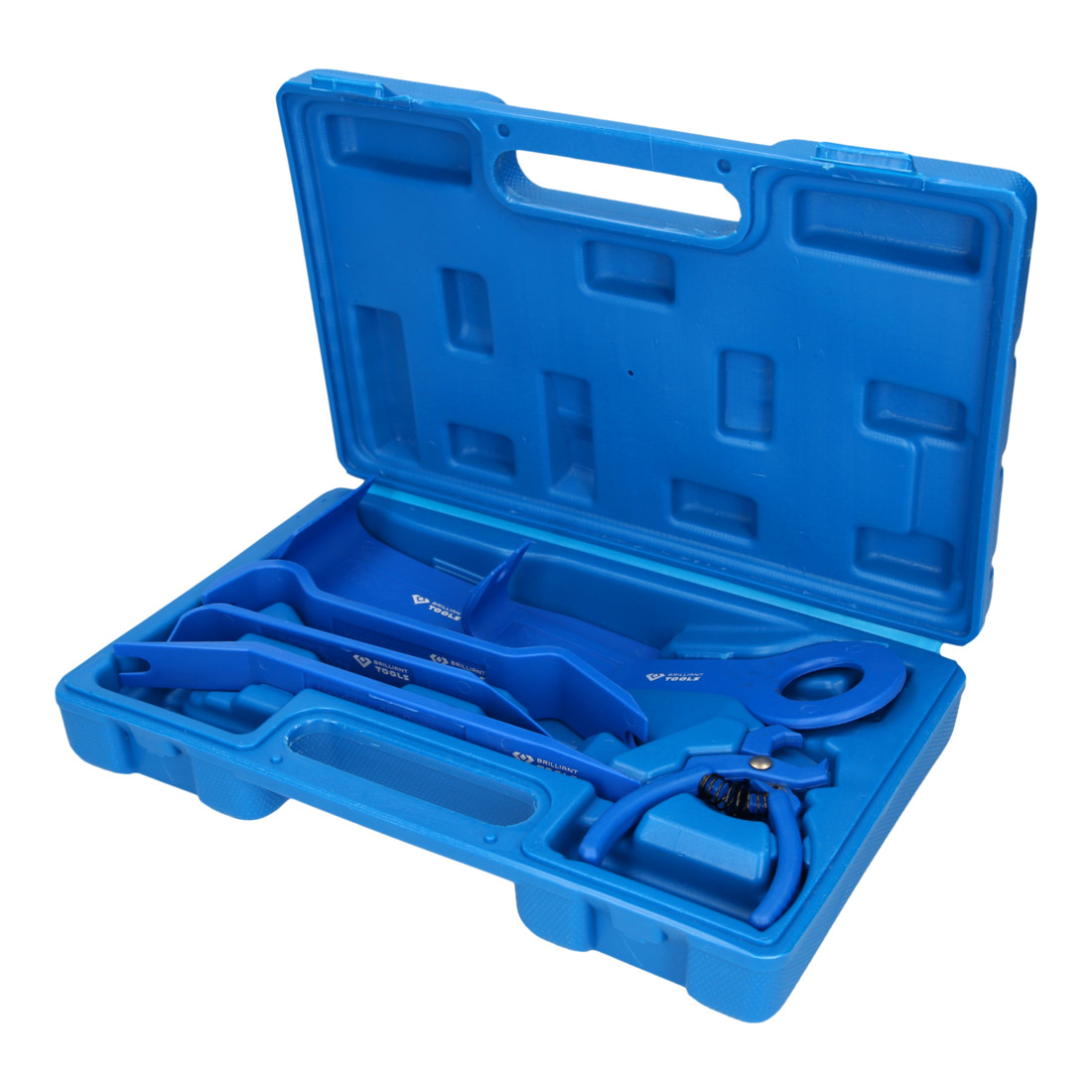 Brilliant Tools Set sierlatwiggen en kussens, 6-dlg.