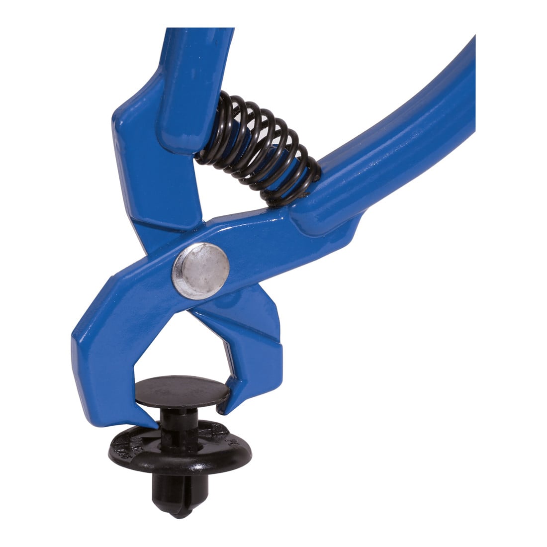 Brilliant Tools Set sierlatwiggen en kussens, 6-dlg.