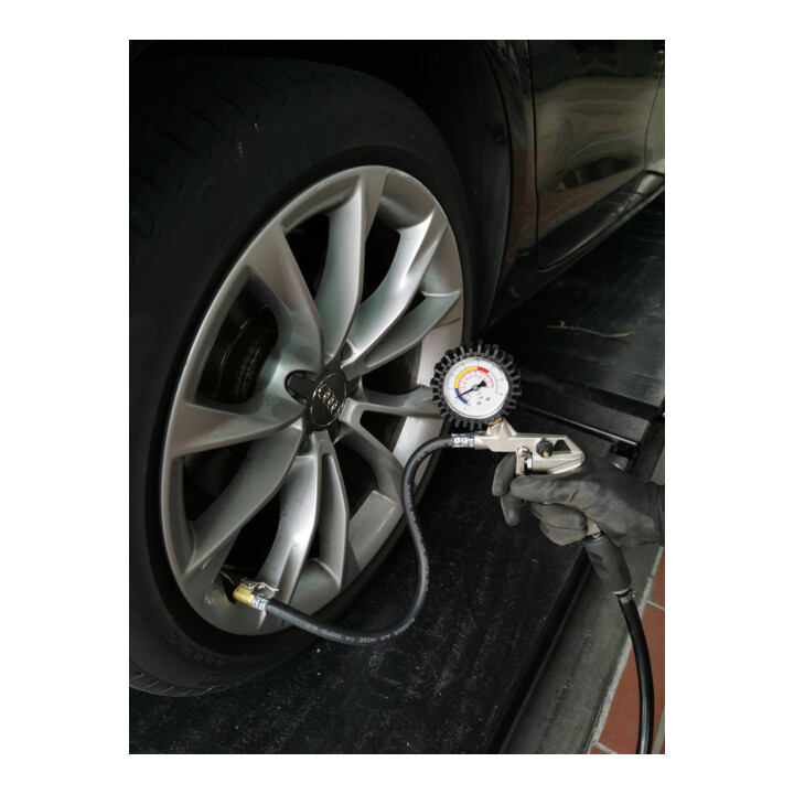 Brilliant Tools Testeur de pression des pneus, 0-16 bars