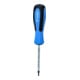 Brilliant Tools Tournevis TORX-2