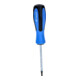 Brilliant Tools Tournevis TORX-2