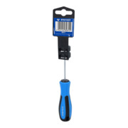 Brilliant Tools Tournevis TX, T6 x 100 mm-2