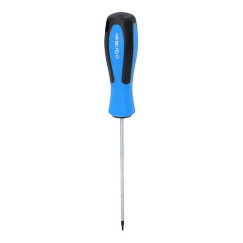 Brilliant Tools TX-schroevendraaier T6 x 100 mm