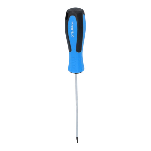 Brilliant Tools TX-schroevendraaier T8 x 100 mm