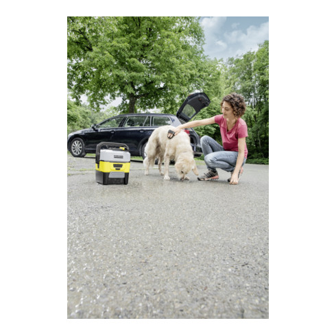 Brosse de nettoyage de fourrure Kärcher