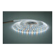 Brumberg Leuchten Bande LED flexible 24V RGB+W IP00 5m 38204002