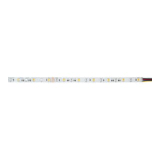 Brumberg Leuchten LED-Flexband 24V RGB+W IP00 5m 38204002