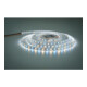 Brumberg Leuchten LED-Flexband 24V RGB+W IP00 5m 38204002-2