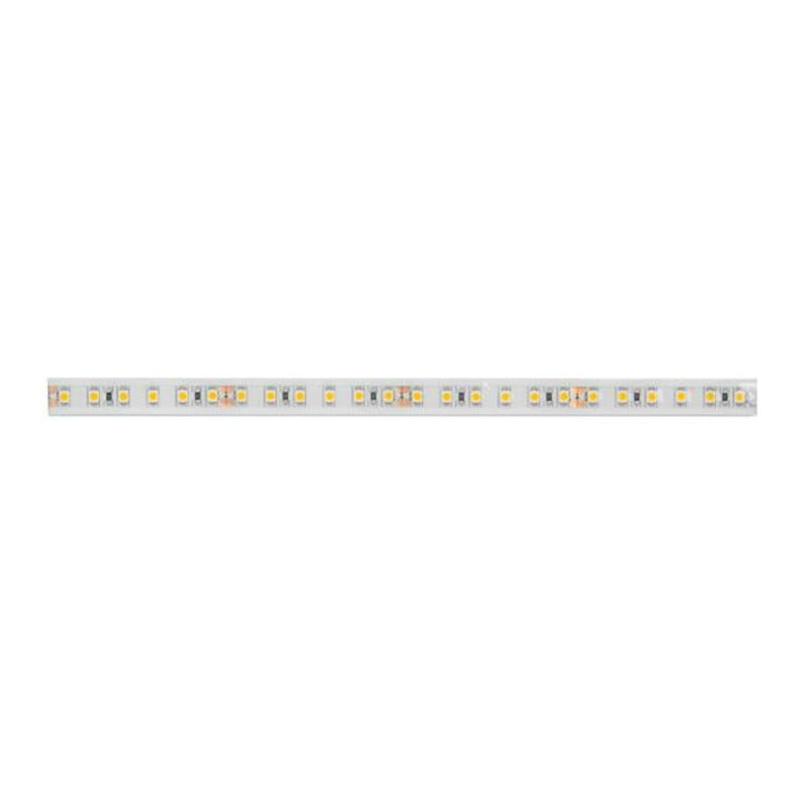 Brumberg Leuchten LED-Flexband 5000mm 24V 2700K IP67 15272027