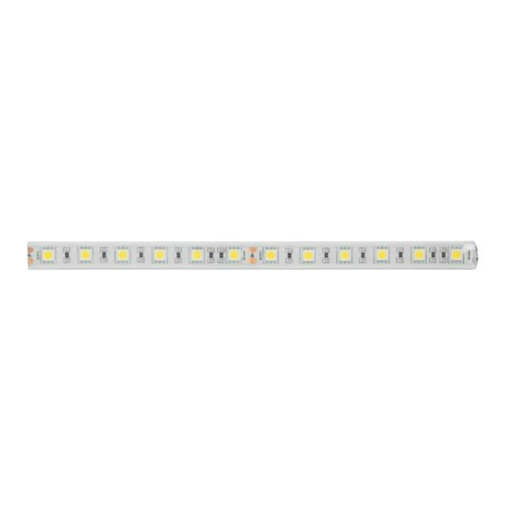 Brumberg Leuchten LED-Flexband 5000mm 24V 3100K IP67 15273003