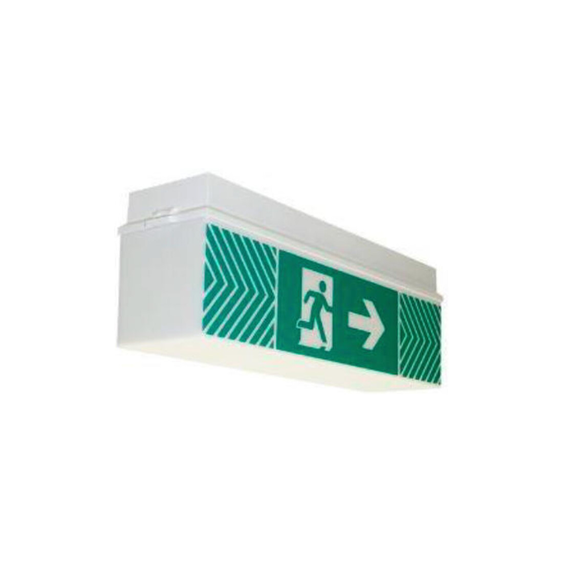 Brumberg Leuchten LED panneau de sortie de secours avec pictogramme, 3/8h 79031004
