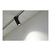 Brumberg Leuchten LED-Schienenstrahler 3000K schwarz 88397183-3