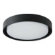 Brumberg Leuchten LED-Wandleuchte 830, schwarz, IP54 60107183-1