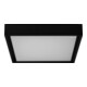 Brumberg Leuchten LED-Wandleuchte 830, schwarz, IP54 60108183-1