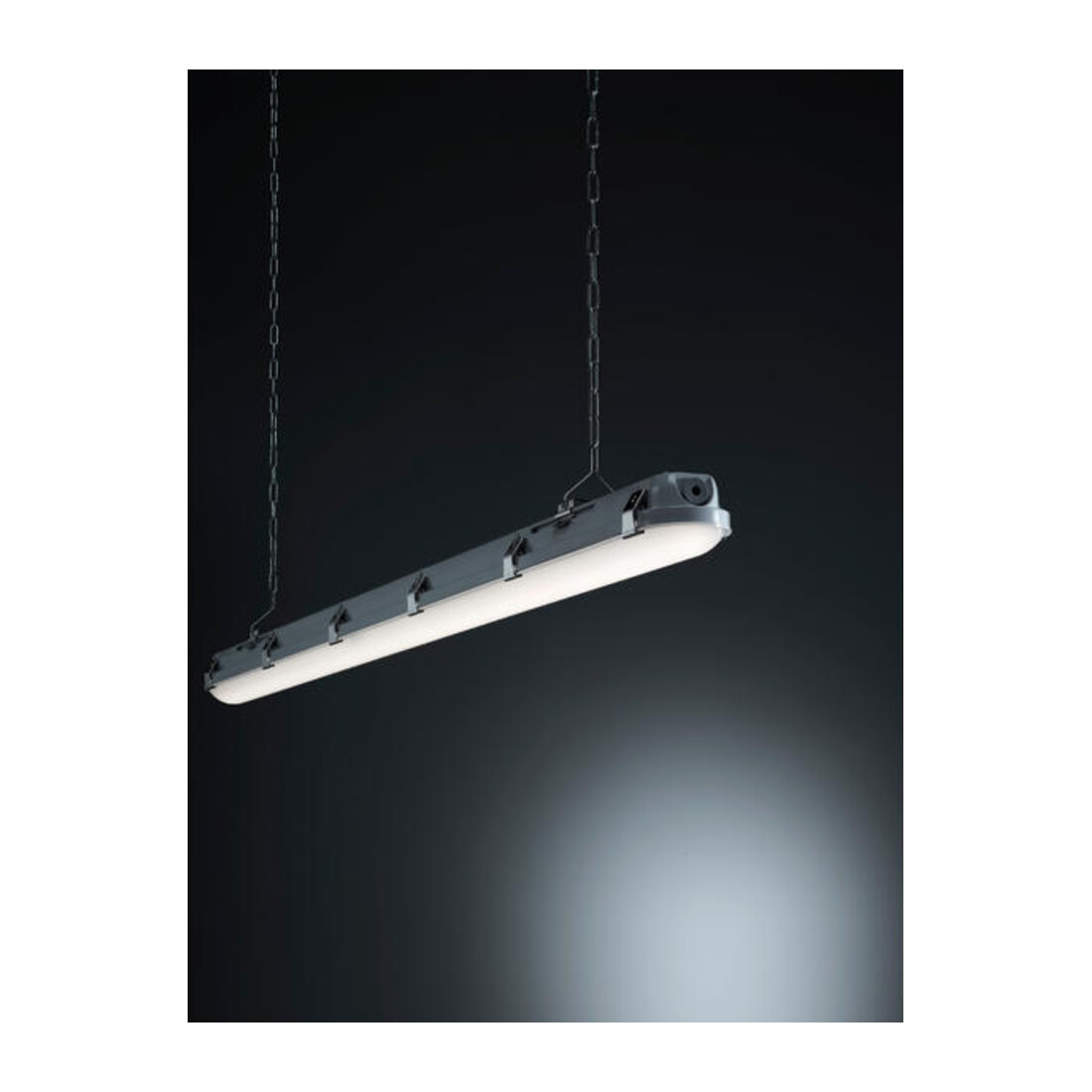 Brumberg Leuchten Luminaire LED pour locaux humides 1490 mm 4000K 78013114
