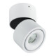 brumberg Plafonnier LED à montage en surface 230 V blanc 12062173