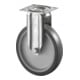 BS Rollen Edelstahl Apparaterolle (G110.A80.127)-1