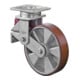BS Rollen Gefederte Schwerlastrolle (T100.B90.200)-1