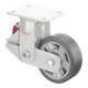 BS Rollen Gefederte Schwerlastrolle (T110.B80.125)-1