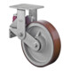 BS Rollen Gefederte Schwerlastrolle (T110.C10.200)-1