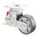 BS Rollen Gefederte Schwerlastrolle (T120.B80.125)-1