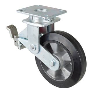 BS Rollen Gefederte Schwerlastrolle (T120.B80.200)