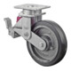BS Rollen Gefederte Schwerlastrolle (T120.B81.200)-1