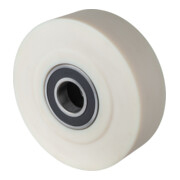 BS Rollen Polyamidrad  (B16.250)