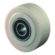 BS Rollen Polyamidrad  (B16.302)