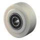 BS Rollen Polyamidrad  (B16.302)-1