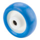 BS Rollen Polyurethanrad (B36.081)-1