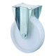 BS Rollen Roulette fixe, diamètre 100 mm, l 45 mm 500 kg, N110.B10 500kg-1