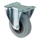 BS Rollen Roulette fixe, diamètre 100 mm L410.B46 70 kg, acier galvanisé-1
