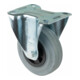 BS Rollen Roulette fixe, diamètre 100 mm L410.B46 70 kg, acier galvanisé-1
