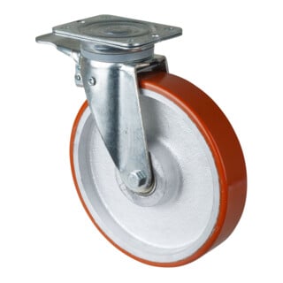 BS Rollen Schwerlastrolle (N120.C10.251)