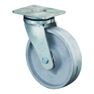BS Rollen Schwerlastrolle (RR100.C81.200)