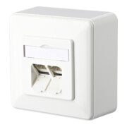 BTR NETCOM Anschlussdose C6A AP 2xRJ45 rws E-DAT 2-3
