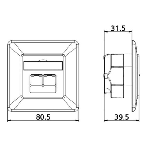 BTR NETCOM Anschlussdose C6A UP 2xRJ45,UP,rws TN EDATC6A-2UP-rws