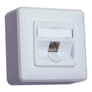 BTR NETCOM Anschlussdose C6Amodul AP 1Port 180 AP,rws TN C6Amod-1AP-180rw-3
