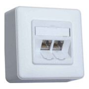 BTR NETCOM Anschlussdose C6Amodul AP 2Port 180 AP,rws TN C6Amod-2AP-180rw-3