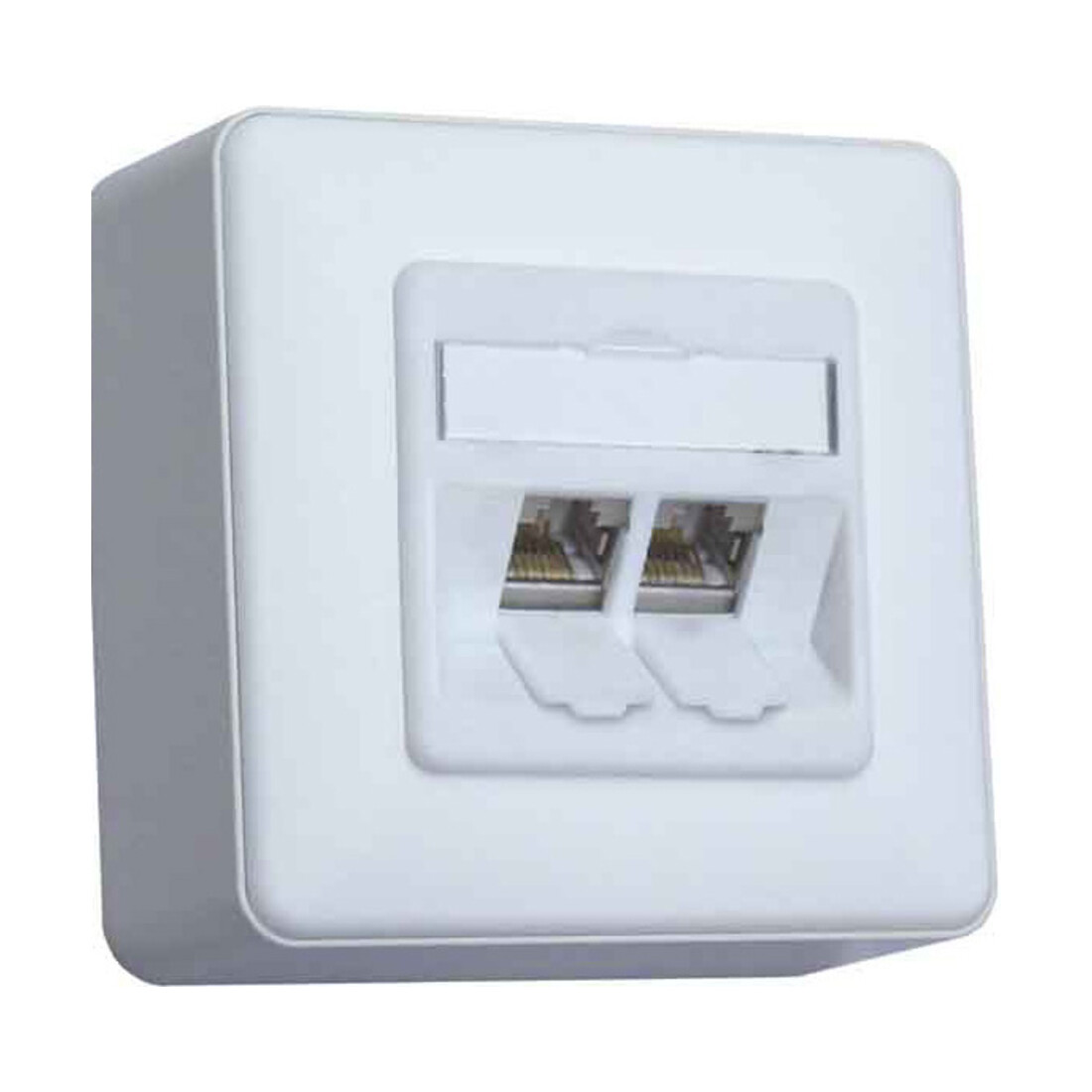 BTR NETCOM Anschlussdose C6Amodul AP 2Port 180 AP,rws TN C6Amod-2AP-180rw