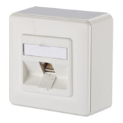 BTR NETCOM Anschlussdose, Cat.6A 1xRJ45,AP,rws TN E-DATmod-1AP-rws-3