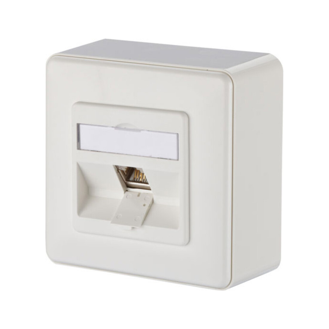 BTR NETCOM Anschlussdose, Cat.6A 1xRJ45,AP,rws TN E-DATmod-1AP-rws