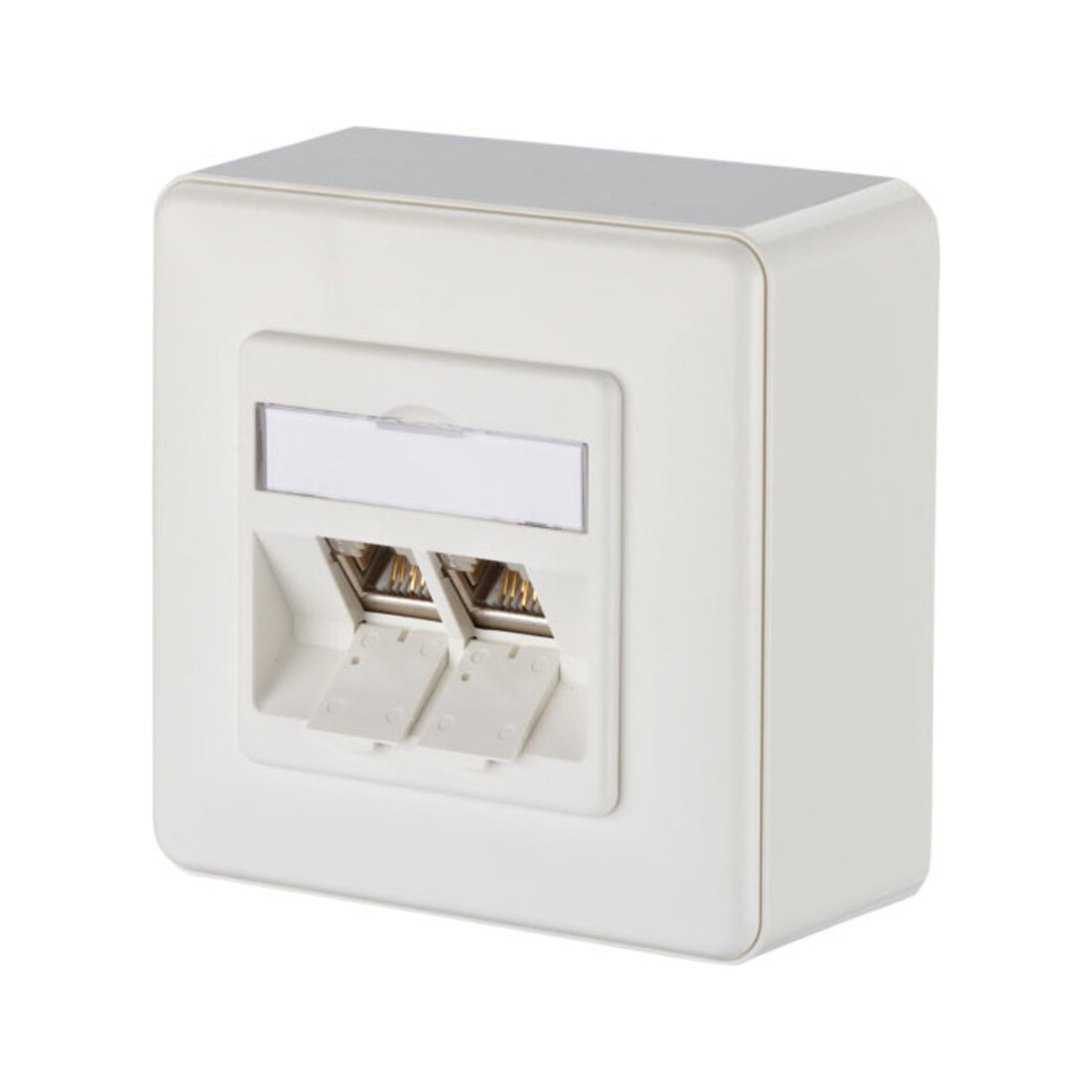 BTR NETCOM Anschlussdose, Cat.6A 2xRJ45,AP,rws TN E-DATmod-2AP-rws