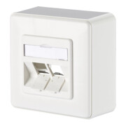 BTR NETCOM Anschlussdose E-DAT modul 8/8(8) AP 1309150002-E rws-3