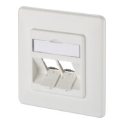 BTR NETCOM Anschlussdose E-DAT modul 8/8(8) UP 1309151002-E rws-3