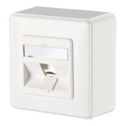 BTR NETCOM Anschlussdose E-DAT modul 8(8) AP 1309140002-E rws-3